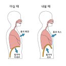 필라테스 온 이미지