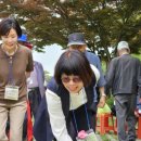 서경들 마을 이미지