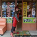 장터주막 Daum카페