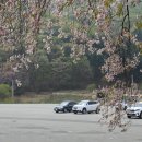 용천리 오층석탑 티스토리