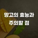 과일빛