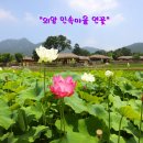 갈비대통령