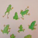 청개구리 이미지