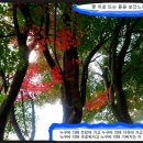 뜨는 돌 이미지