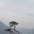 5월정기산행은 암릉산행 단양- 도락산(964m)으로 갑니다 이미지