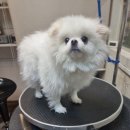 유스타 그루밍 이미지