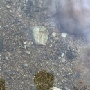 소막골야영장 이미지