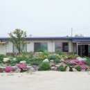 우리조경 티스토리