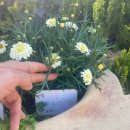 동홍산미술학원 4가 1 | 육아는 반전의 연속