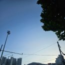 에코공원 | 부산 사상 에코마라톤 10km 참가후기(삼락생태공원)