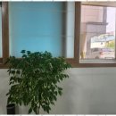 천사공인중개사사무소 이미지