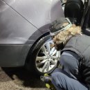 그린카세차장 이미지