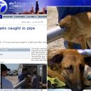 (주)견공 이미지