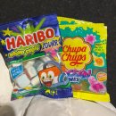 재승농장 | 심심해서 올리는 2월 일상 중간편