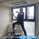 제주에닥