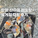 안양 산마을캠핑장 딱따구리 사이트 후기 w.안양 농수산물도매시장 꽃게