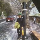 안민고개길 이미지