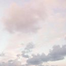 옥천서점 | 우리는사랑을사랑해 | 대전당일치기