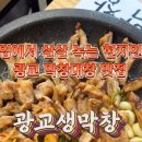 월드생막창