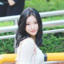 새롬 이미지