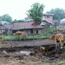 봄·여름·가을 코스 이미지