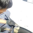 학성종합정비공업사 네이버블로그
