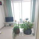 더건국공인중개사사무소 이미지