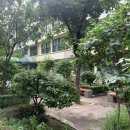 사물장구 이미지