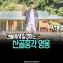 영웅 | 섬 대신 산으로 간, 산골총각 영웅 첫방 후기 화요일예능추천