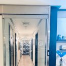 케렌시아 이미지