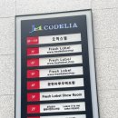 리브잇투미케이크 | 대연동 경성대 못골역 레터링케이크 리브잇투미케이크