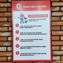 스팀맨부산지사과학