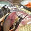만선횟집 - 인제군 인제로206번길 37 | 제주시 맛집 만선바다 횟집 추천 고등어회 쌈밥 후기
