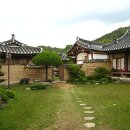 월곡댁 Daum카페