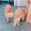 형제 목욕탕 이미지