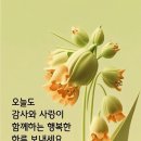 건강한 몸 만드는 체중감량 과일 이미지