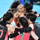 현대인삼 이미지