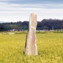 진주 대천리 입석 이미지