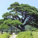 산솔마을 이미지