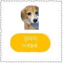 24시 코끼리동물병원 이미지