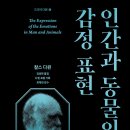 건강태극권(실용) 이미지