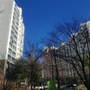 금화로11번길 이미지