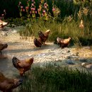 복성농장 이미지