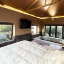 성산 동백소랑 이미지