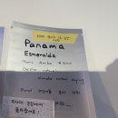 (주)오리진스튜디오 | 국내 게이샤 카페투어 _ 인쇄소(나인티플러스), 노띵(콜롬비아), 샤이고스트(에스메랄다), 루리(2023...