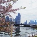 좌수영로 이미지