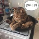 레츠고 뽑기방 이미지