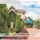 카메론 하일랜드 여행, 디어 디노 게스트하우스 후기: 추천하는 이유는?