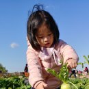 서하농장 이미지