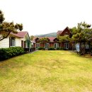 오투오션1 이미지